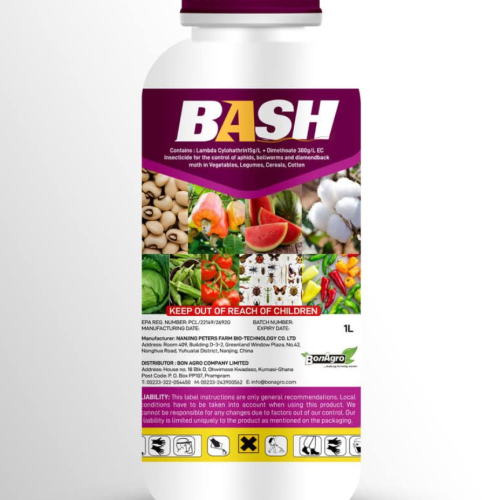 Bash 1L