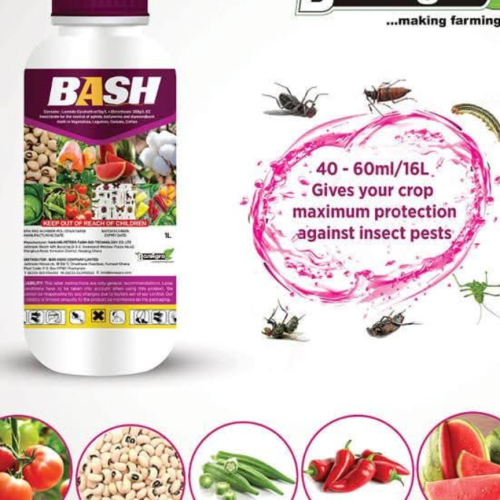 Bash 1L